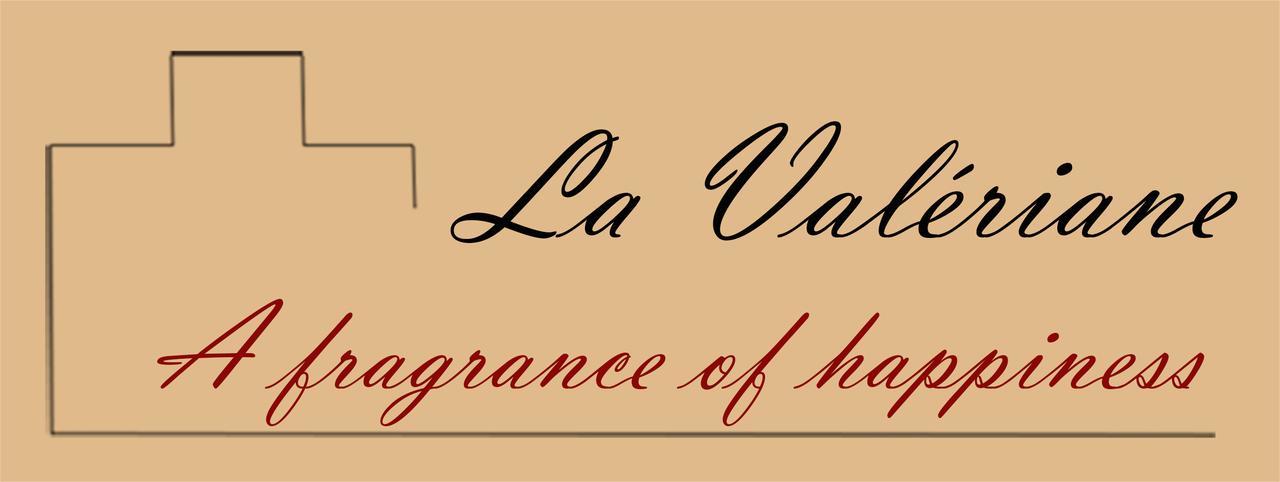 "La Valeriane" Apartment Grasse Ngoại thất bức ảnh